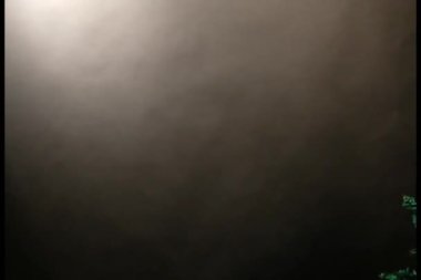 Çam Noel ağacı hediyesi.