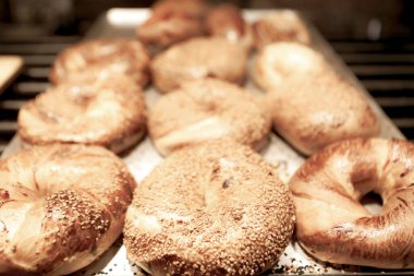 Bir grup çeşit kurabiye. Çikolata parçacıklı, yulaflı, kuru üzümlü, beyaz çikolatalı.