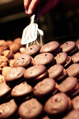 Bir grup çeşit kurabiye. Çikolata parçacıklı, yulaflı, kuru üzümlü, beyaz çikolatalı.