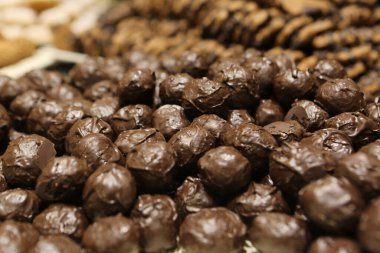 Bir grup çeşit kurabiye. Çikolata parçacıklı, yulaflı, kuru üzümlü, beyaz çikolatalı.