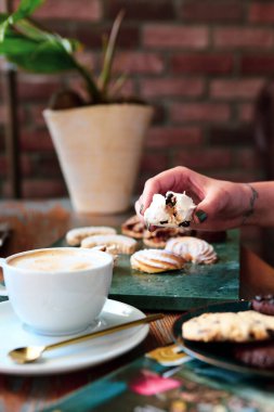Bir grup çeşit kurabiye. Çikolata parçacıklı, yulaflı, kuru üzümlü, beyaz çikolatalı.