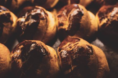 Bir grup çeşit kurabiye. Çikolata parçacıklı, yulaflı, kuru üzümlü, beyaz çikolatalı.