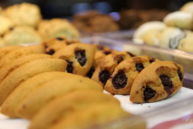 Bir grup çeşit kurabiye. Çikolata parçacıklı, yulaflı, kuru üzümlü, beyaz çikolatalı.