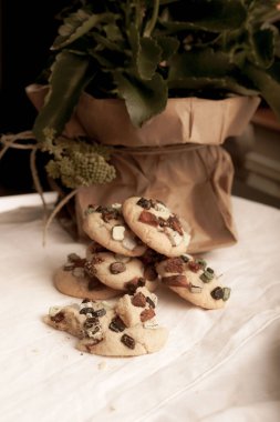 Bir grup çeşit kurabiye. Çikolata parçacıklı, yulaflı, kuru üzümlü, beyaz çikolatalı.