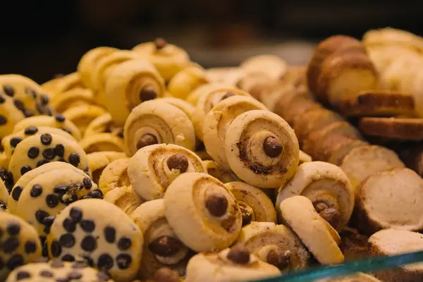 Bir grup çeşit kurabiye. Çikolata parçacıklı, yulaflı, kuru üzümlü, beyaz çikolatalı.