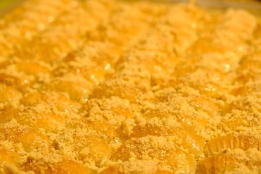 Geleneksel hindistancevizli tatlı baklavası. Ev yapımı fındıklı ve ballı baklava..