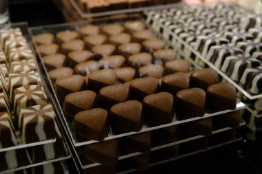 bir sürü değişik çikolatalı pralin