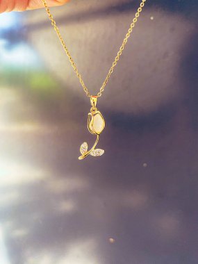 Lüks Altın ve Elmas Mücevher