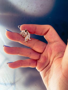 Lüks Altın ve Elmas Mücevher