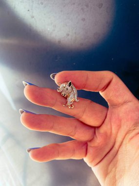 Lüks Altın ve Elmas Mücevher