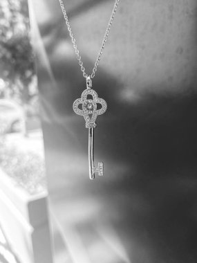 Lüks Altın ve Elmas Mücevher