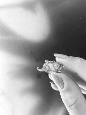 Lüks Altın ve Elmas Mücevher