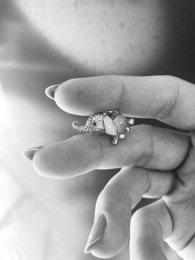 Lüks Altın ve Elmas Mücevher