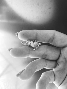 Lüks Altın ve Elmas Mücevher