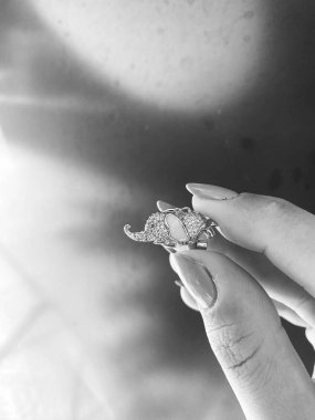 Lüks Altın ve Elmas Mücevher