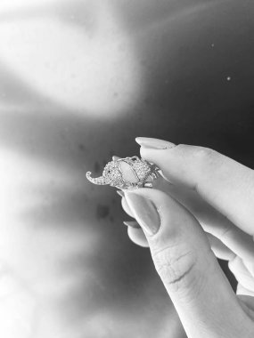 Lüks Altın ve Elmas Mücevher