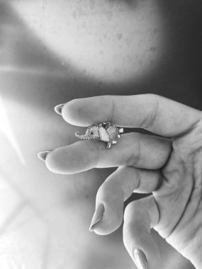 Lüks Altın ve Elmas Mücevher