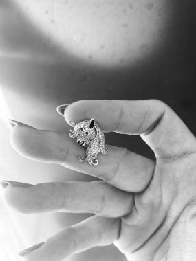 Lüks Altın ve Elmas Mücevher