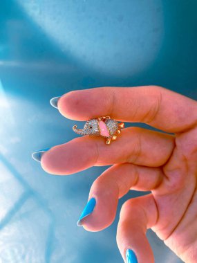 Lüks Altın ve Elmas Mücevher