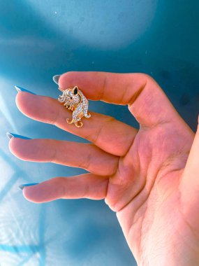 Lüks Altın ve Elmas Mücevher