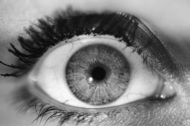 Bir insanın derin gözlerinin güzel makro yakın çekimi.