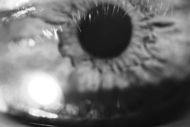 Bir insanın derin gözlerinin güzel makro yakın çekimi.