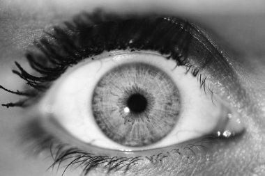 Bir insanın derin gözlerinin güzel makro yakın çekimi.