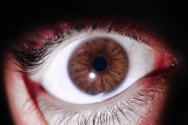 Bir insanın derin gözlerinin güzel makro yakın çekimi.