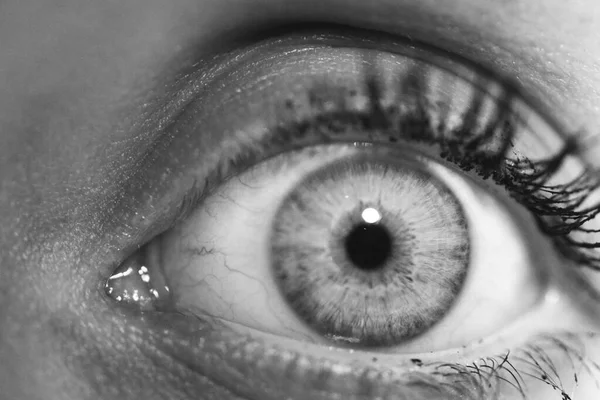 Красивый Макро Крупным Планом Снимок Глубоких Человеческих Глаз — стоковое фото