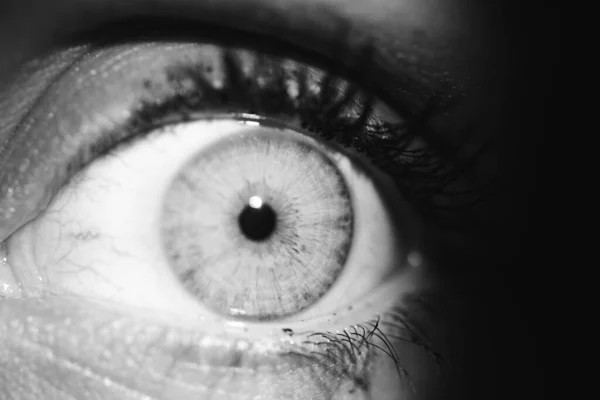 Hermoso Primer Plano Macro Los Ojos Profundos Humano —  Fotos de Stock