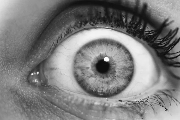 人間の深い目の美しいマクロクローズアップショット — ストック写真