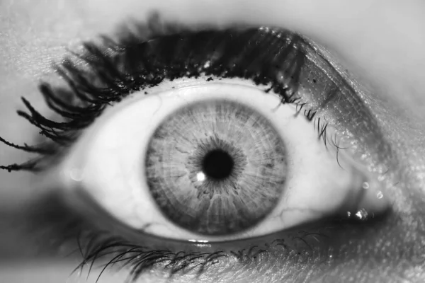 Красивий Макро Крупним Планом Знімок Глибоких Очей Людини — стокове фото