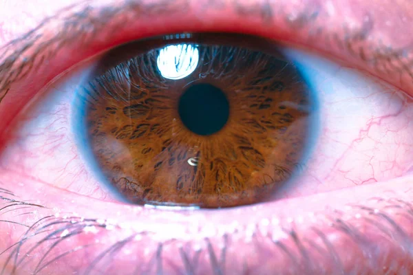 Beautiful macro closeup shot of a human\'s deep eyes