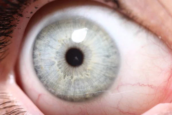 Hermoso Primer Plano Macro Los Ojos Profundos Humano —  Fotos de Stock