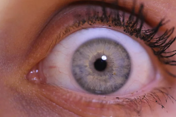 Hermoso Primer Plano Macro Los Ojos Profundos Humano —  Fotos de Stock