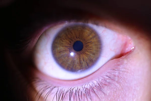Bir Insanın Derin Gözlerinin Güzel Makro Yakın Çekimi — Stok fotoğraf
