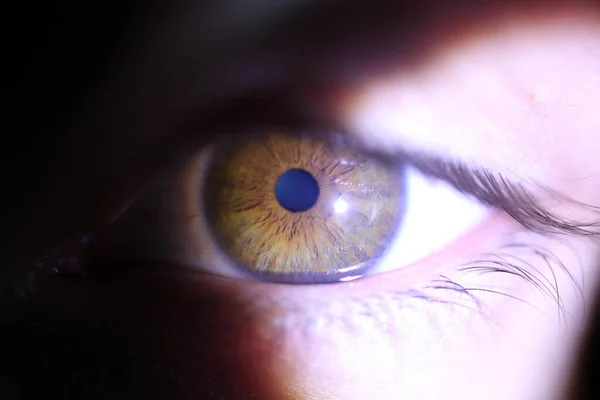 Hermoso Primer Plano Macro Los Ojos Profundos Humano —  Fotos de Stock