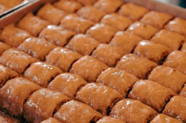 Geleneksel hindistancevizli tatlı baklavası. Ev yapımı fındıklı ve ballı baklava..