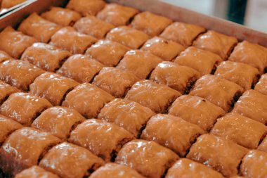Geleneksel hindistancevizli tatlı baklavası. Ev yapımı fındıklı ve ballı baklava..