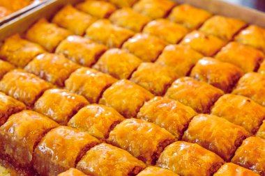 Geleneksel hindistancevizli tatlı baklavası. Ev yapımı fındıklı ve ballı baklava..