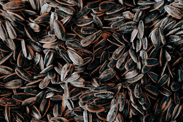 Delicous Sunflower Seeds Store — Stock Photo, Image
