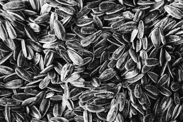 delicous sunflower seeds in the store