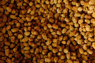 Lezzetli kurutulmuş dut, markette kurutulmuş meyve. 