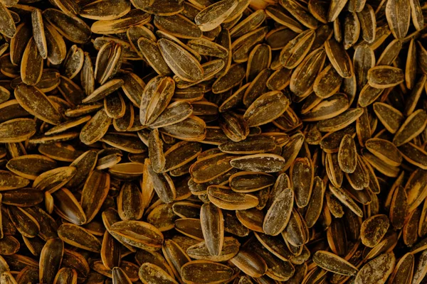 delicous sunflower seeds in the store