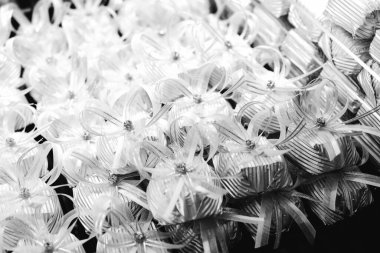 bir sürü değişik çikolatalı pralin