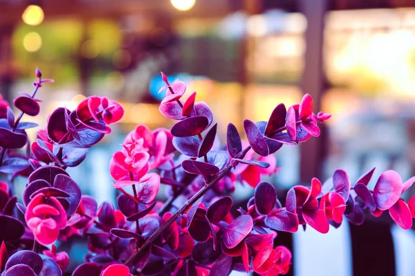 dried flower standing on the table