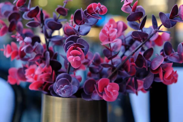 Torkad Blomma Stående Bordet — Stockfoto