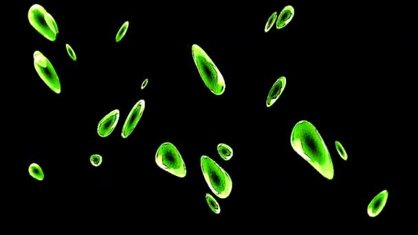 Анимированные Точки Формы Красочные Мигающие Огни Черном Фоне — стоковое видео