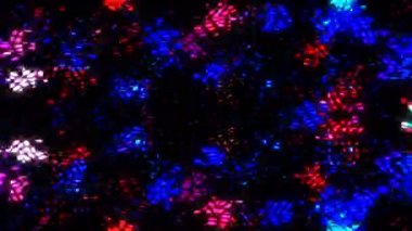 Parlayan güzel soyut çizgi, ince hareketleri düzenleyen parlak bir ışık.