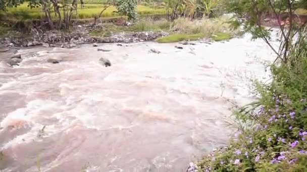 Agua Que Fluye Gran Río Marrón — Vídeos de Stock